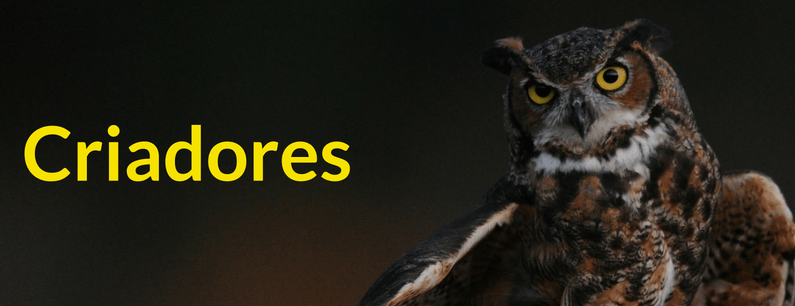 criadores-categoria