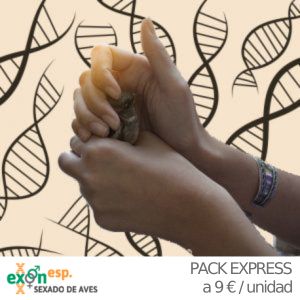 Sexaje Express
