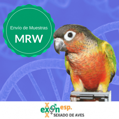envio-de-muestras